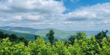 Exploring the Ozarks: Nature’s Playground