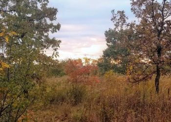 Autumnal Vata Imbalances