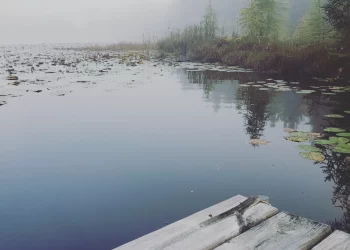 The Normalcy of Not Feeling