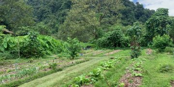 Strengthen Your Karma Yoga Practice